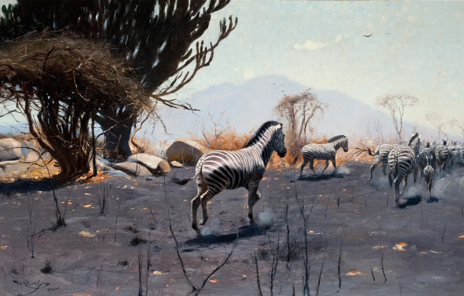 Zebras 2 Wall Art by Wilhelm Kuhnert - Canvas Print
