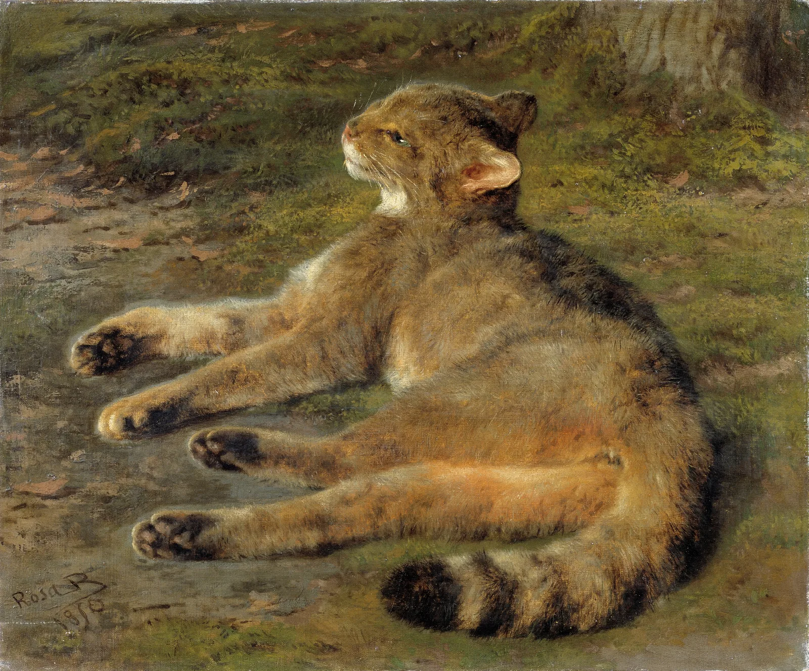 Wild Cat Wall Art by Rosa Bonheur - Canvas Print