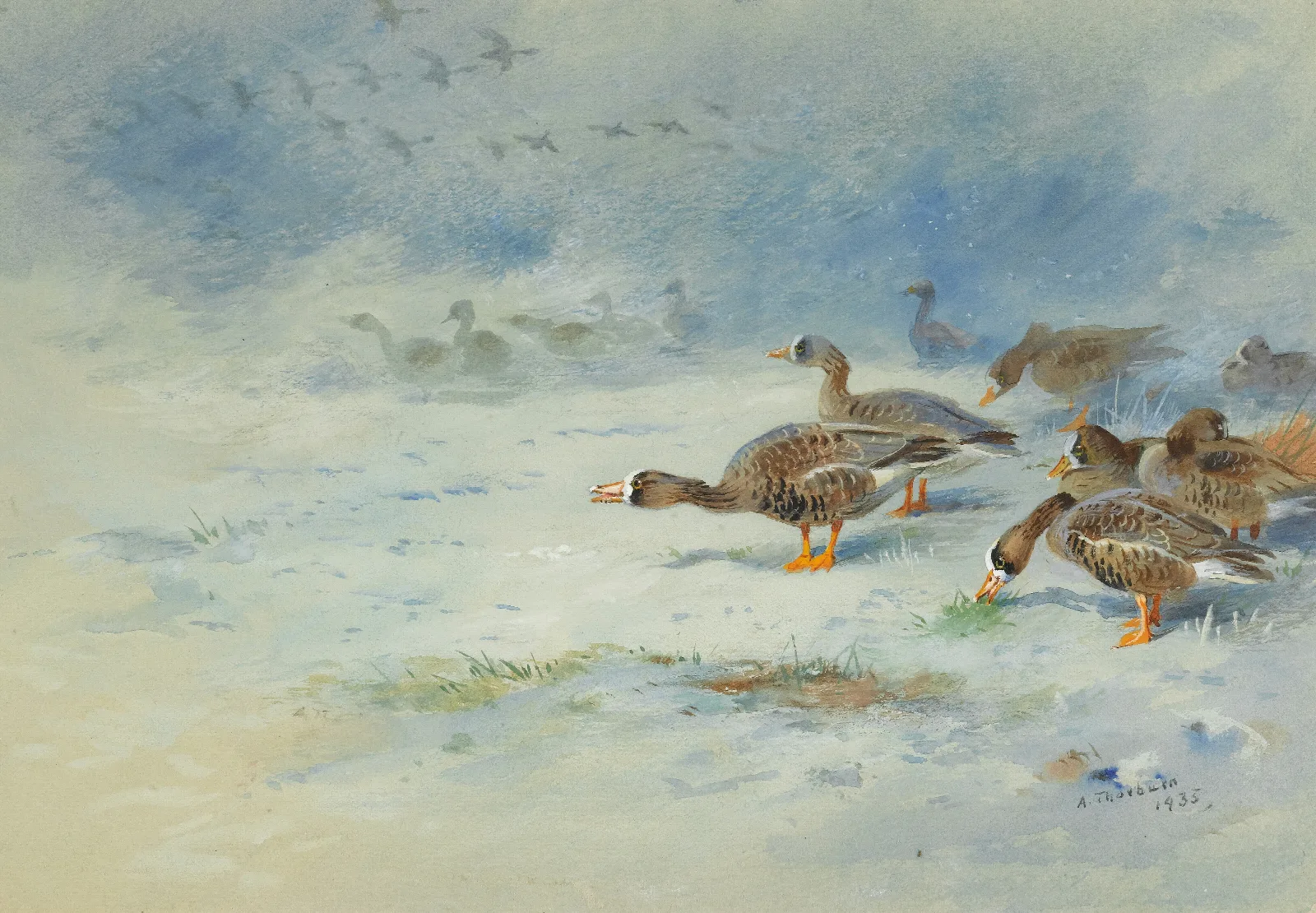 Arnacle Geese Wall Art by Archibald Thorburn - Canvas Print