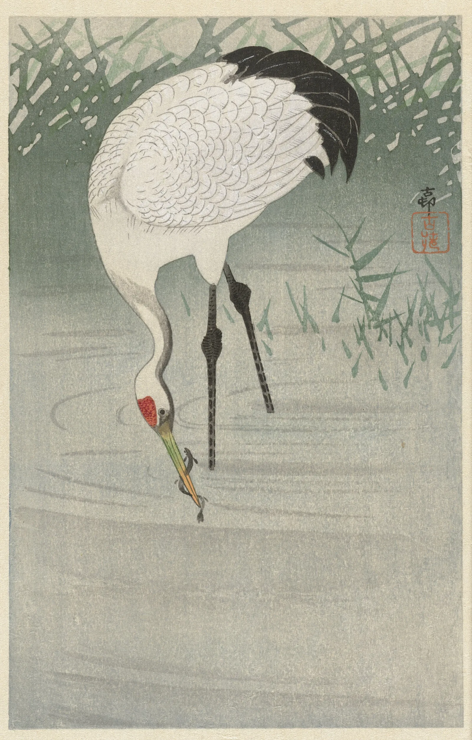 Fishing Crane In Shallow Water Wall Art by Ohara Koson - Canvas Print