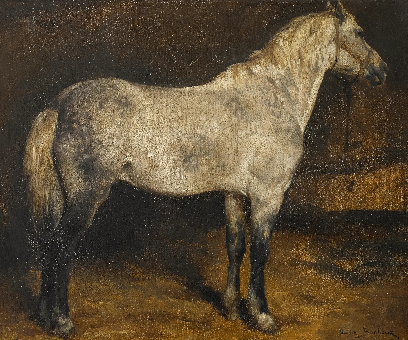 A Dapple Grey Horse Wall Art by Rosa Bonheur - Canvas Print