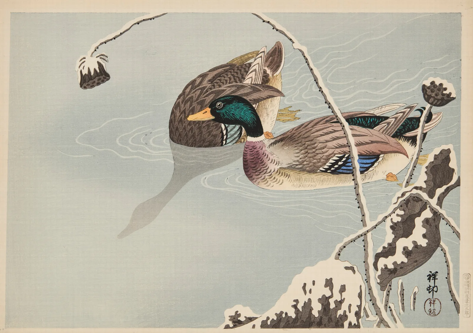 Mallards And Lotus Under Snow Wall Art by Ohara Koson - Canvas Print