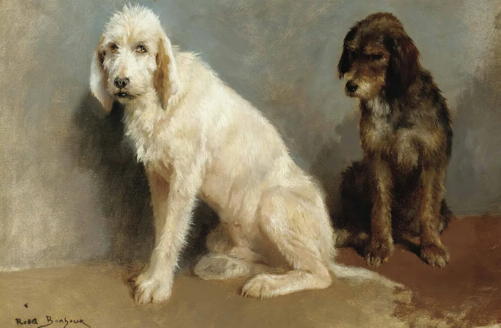 Study Of Two Dogs Wall Art by Rosa Bonheur - Canvas Print