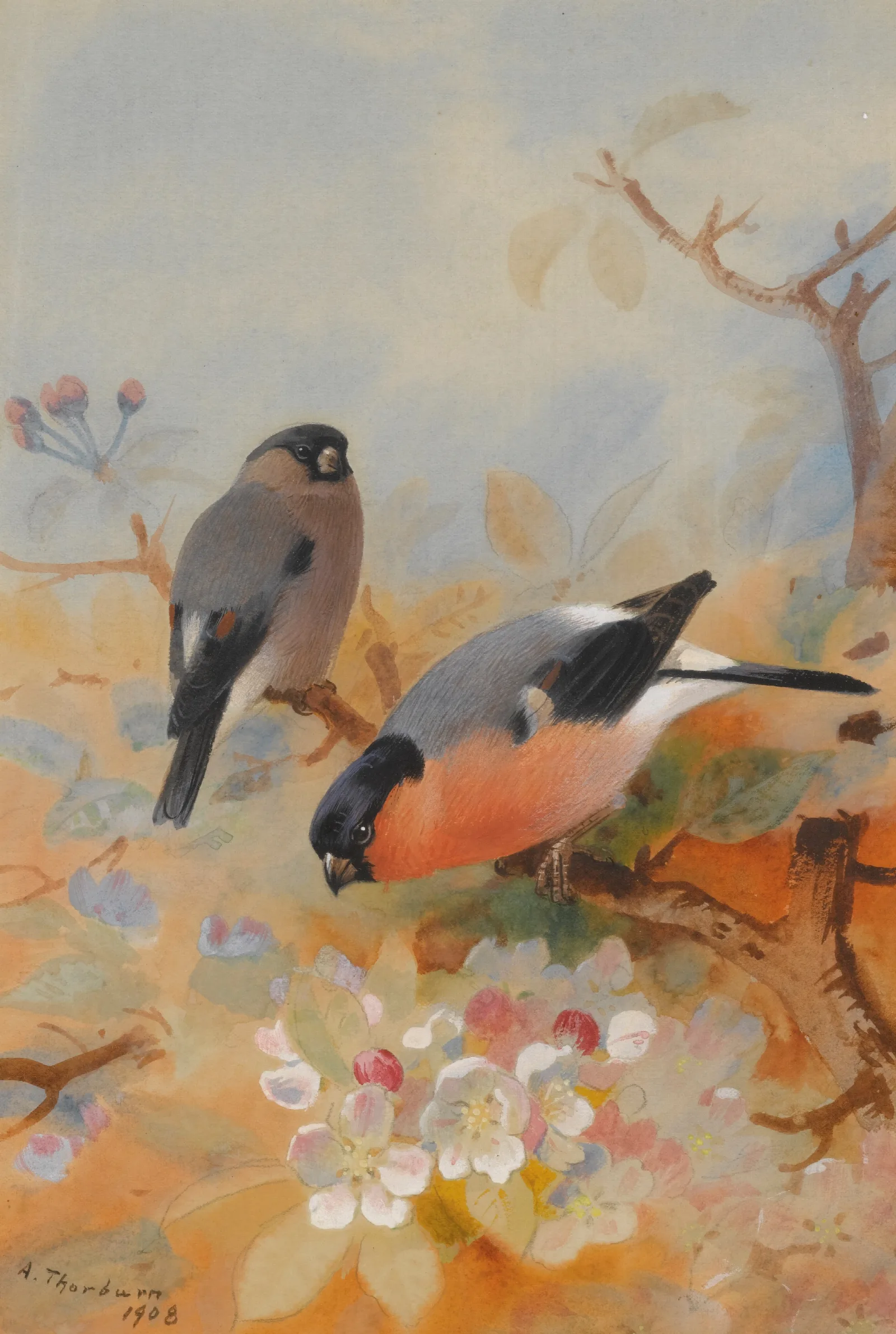 Bullfinches Wall Art by Archibald Thorburn - Canvas Print