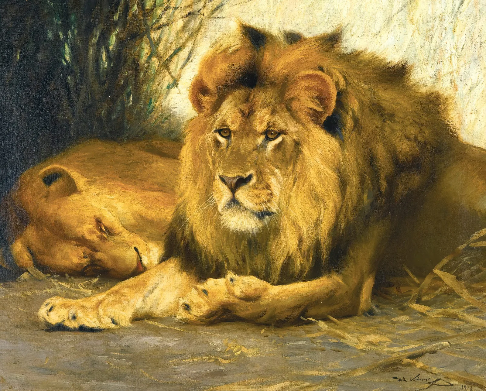 Resting Lions Wall Art by Wilhelm Kuhnert - Canvas Print