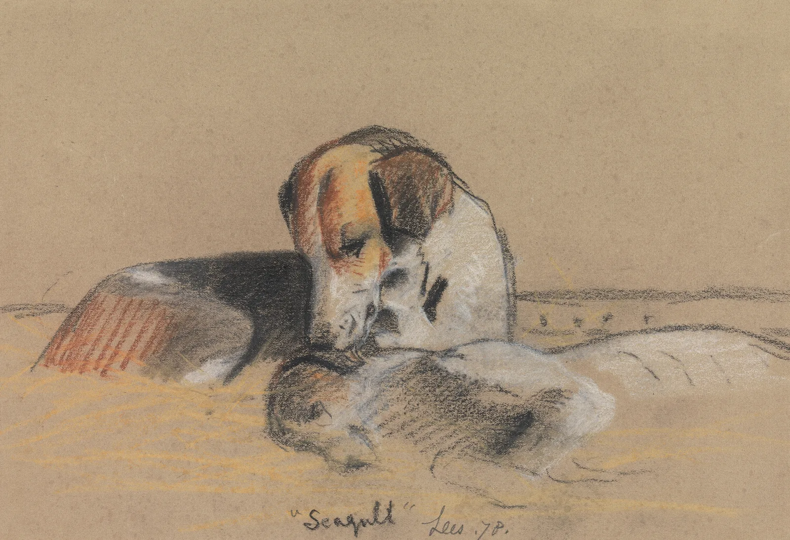 Hounds Seagull Wall Art by Archibald Thorburn - Canvas Print