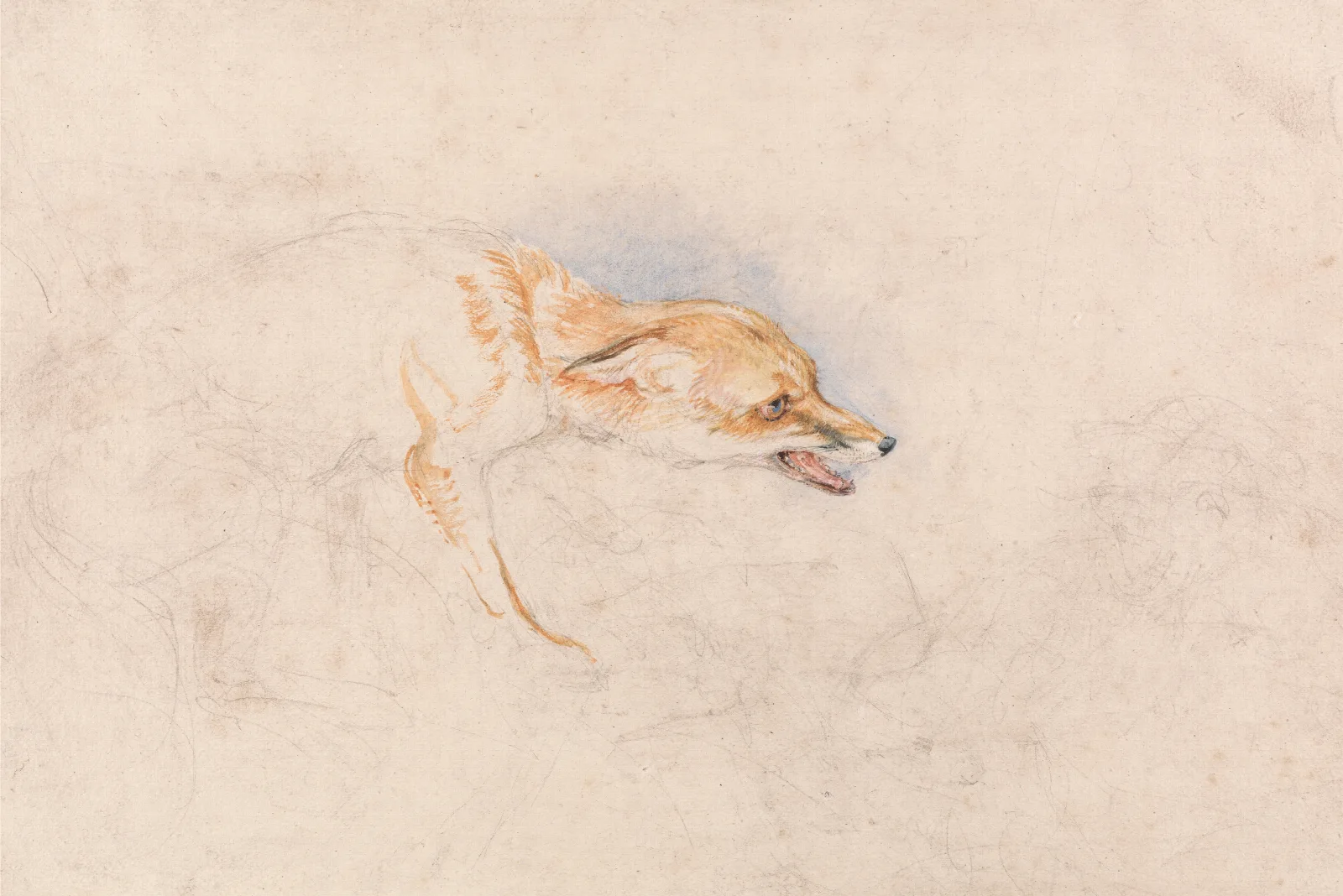 Study Of A Crouching Fox Facing Right Wall Art by John Frederick Lewis - Canvas Print