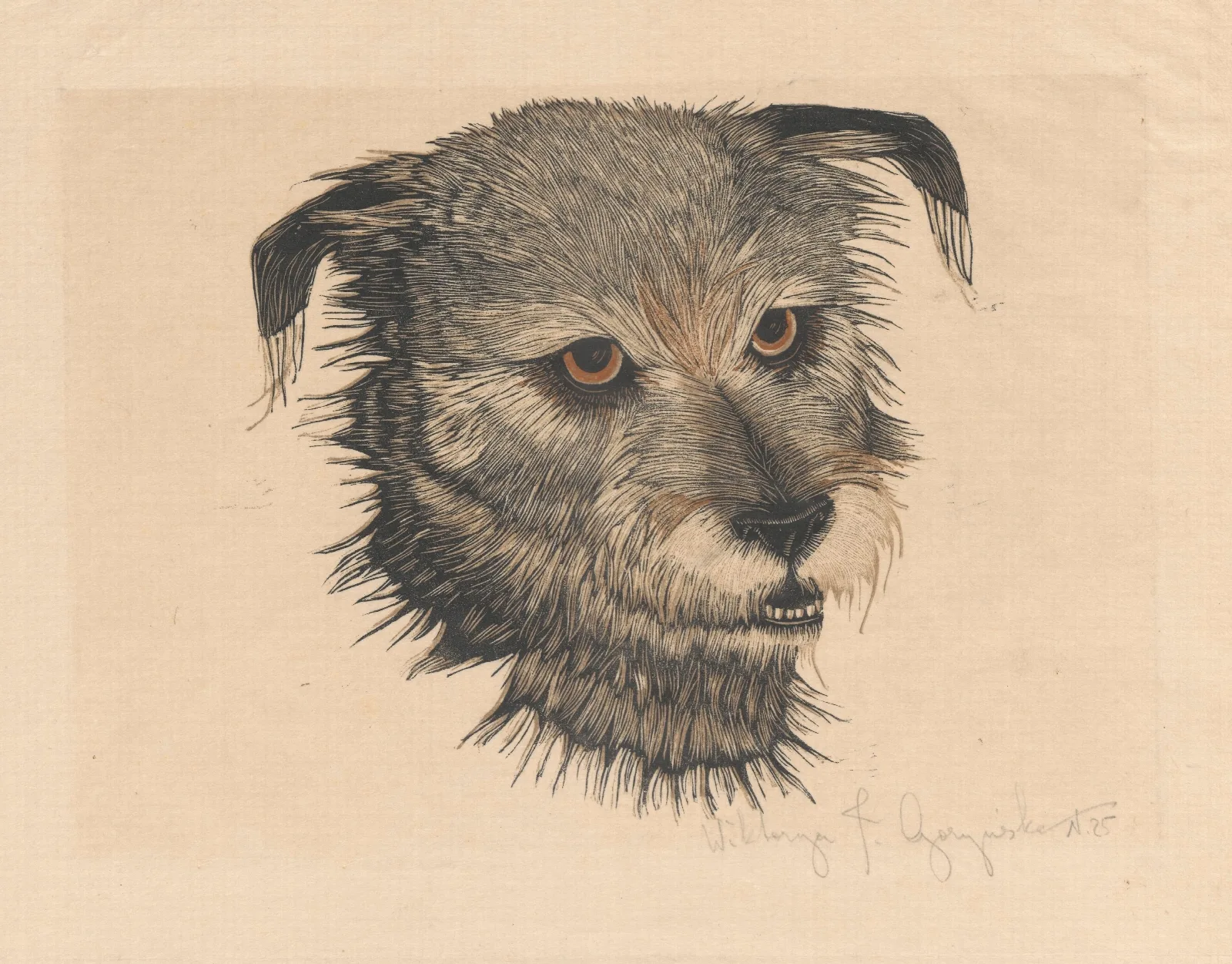 Head Of Beauty The Dog 2 Wall Art by Wiktoria Goryńska - Canvas Print