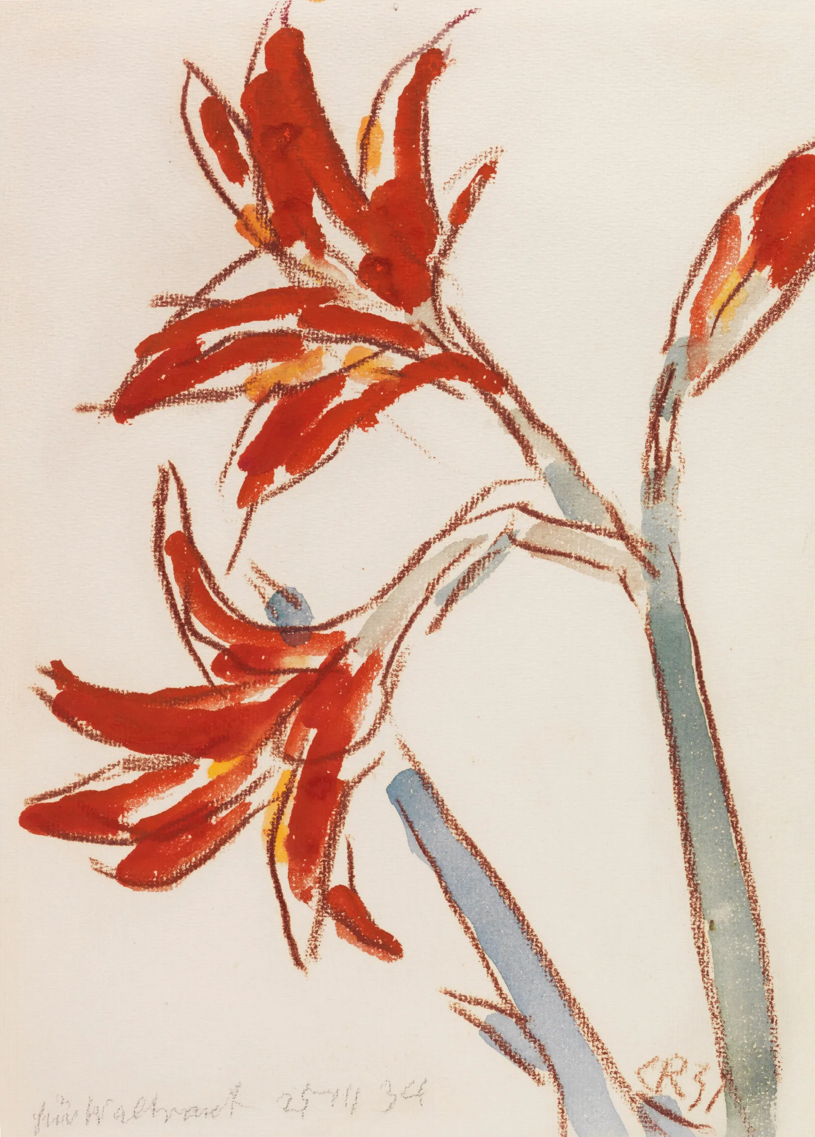 Roter Amaryllis Wall Art by Christian Rohlfs - Canvas Print