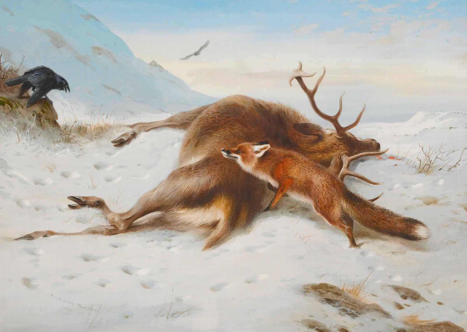 Not For The Larder Wall Art by Archibald Thorburn - Canvas Print