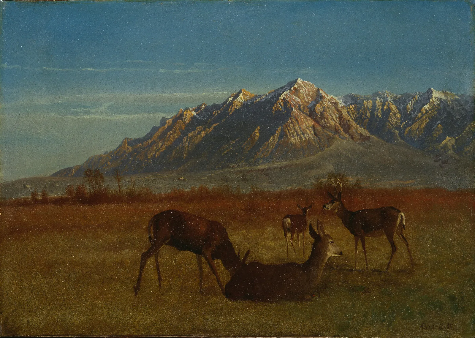 Deer In Mountain Home Wall Art by Albert Bierstadt - Canvas Print