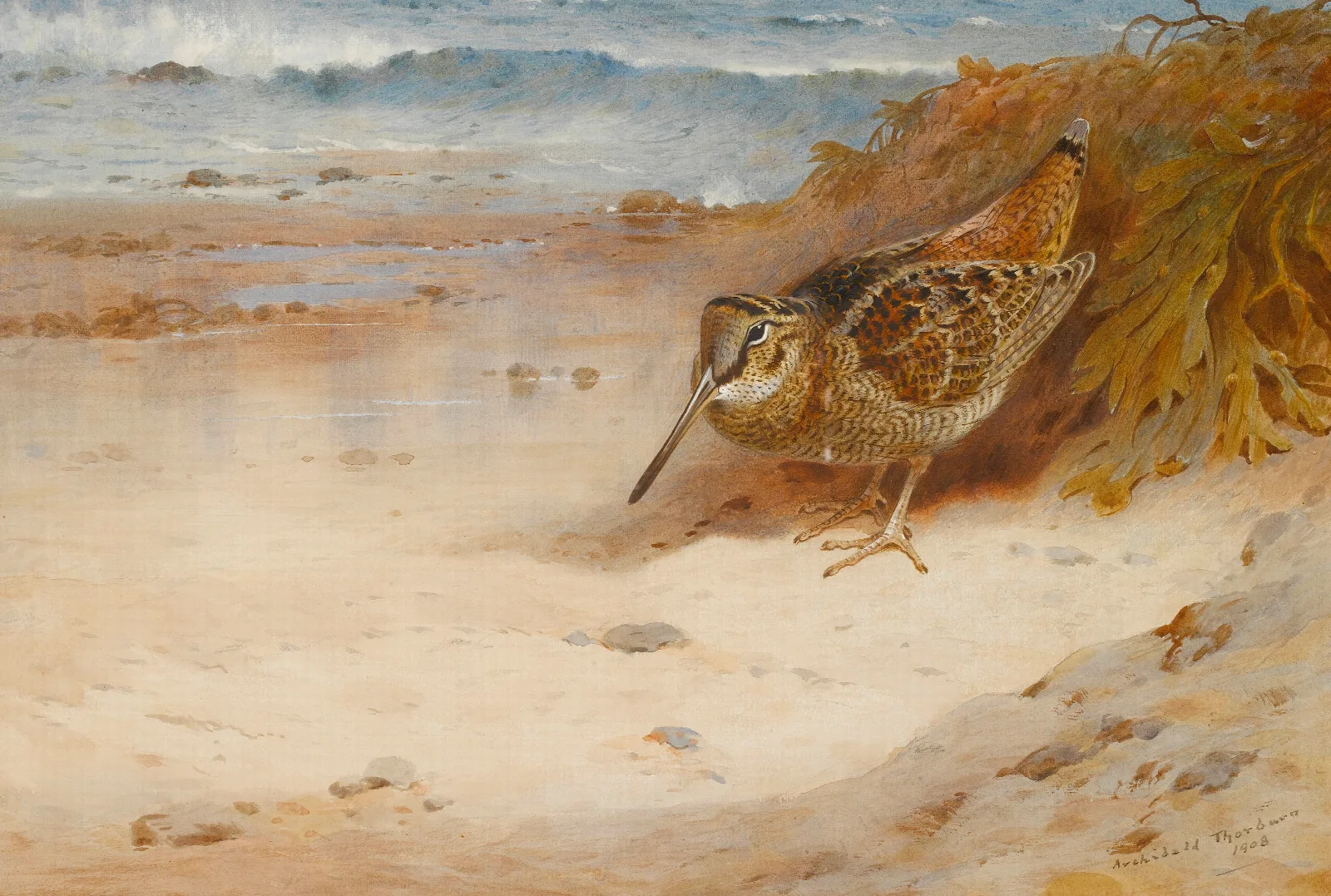 Hungry And Homeless Wall Art by Archibald Thorburn - Canvas Print