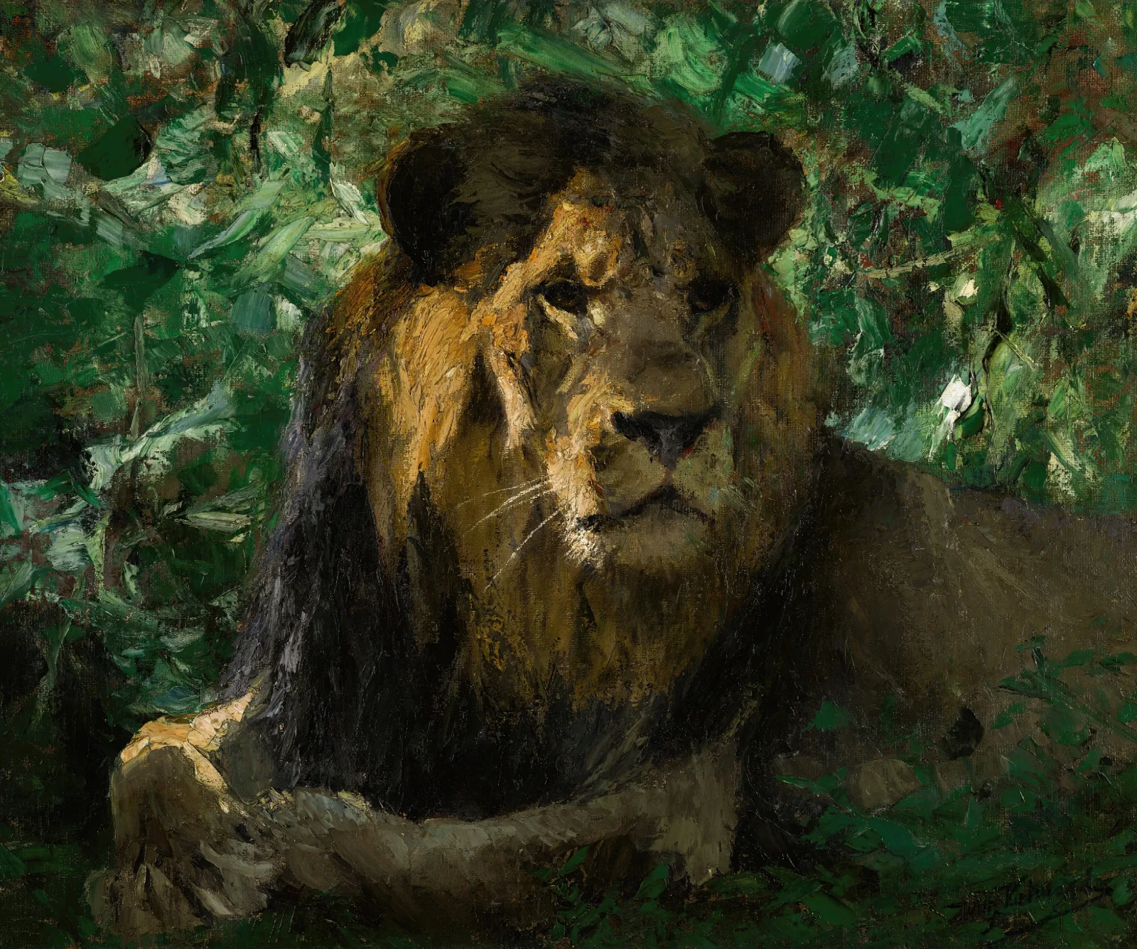 Resting Lion Wall Art by Wilhelm Kuhnert - Canvas Print