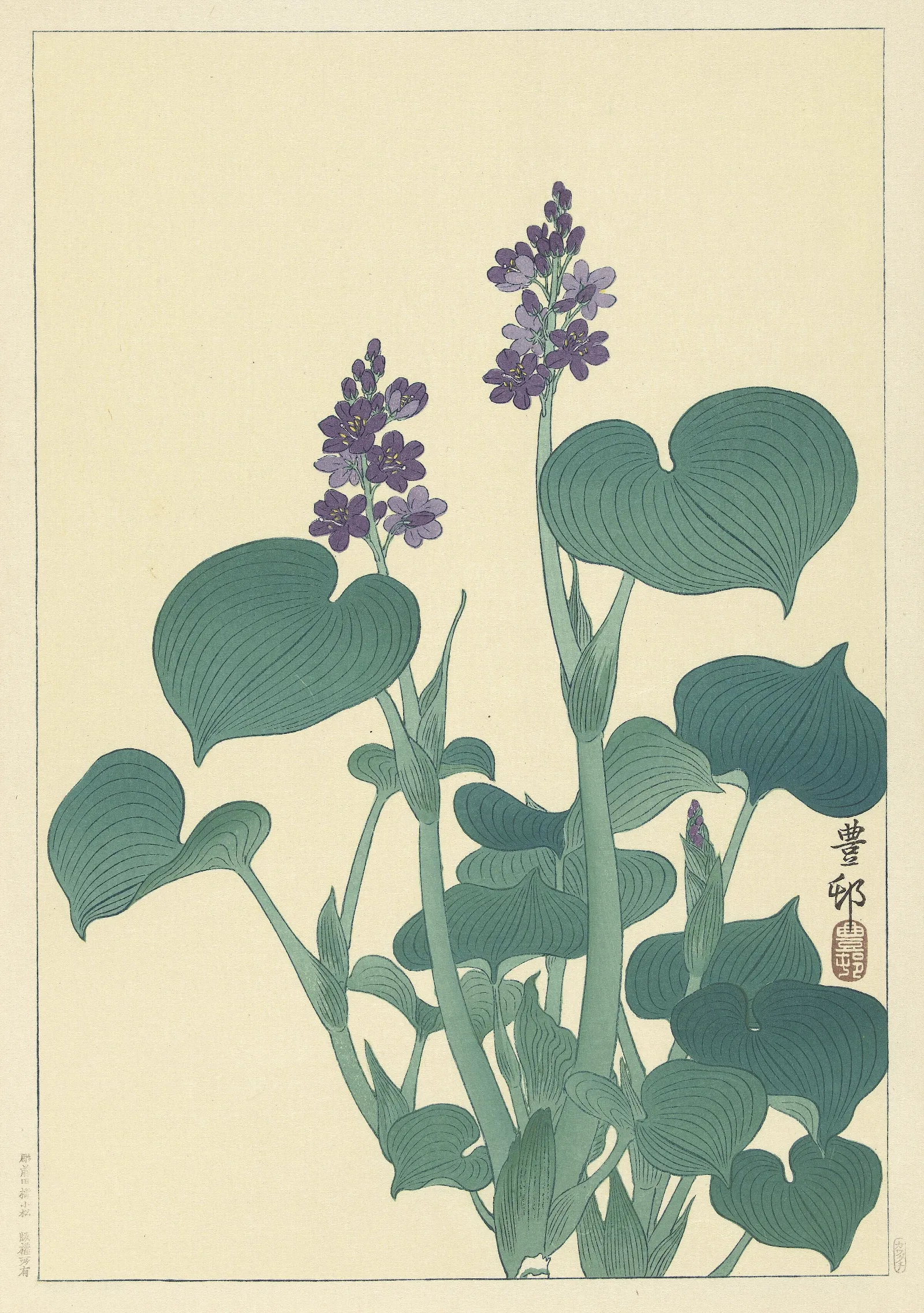 Flowering Hosta Wall Art by Ohara Koson - Canvas Print