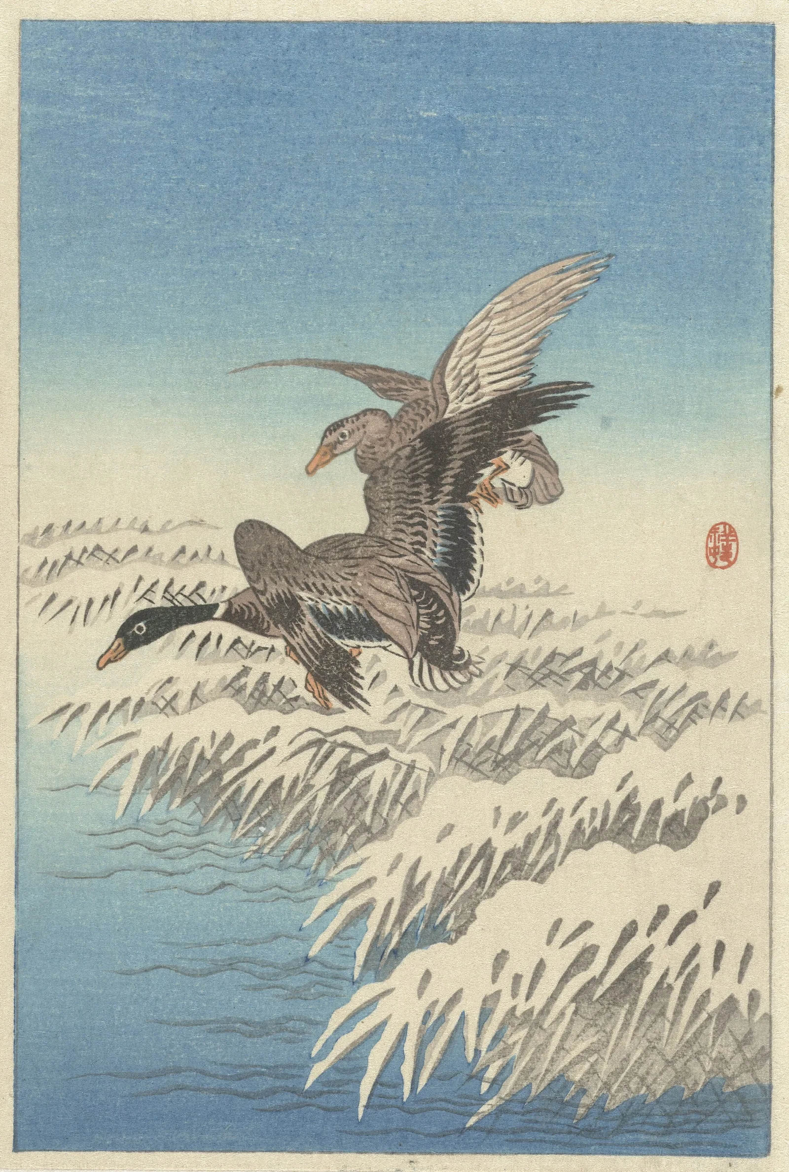 Flock Of Ducks Flying Above Snowy Reed Collar Wall Art by Ohara Koson - Canvas Print