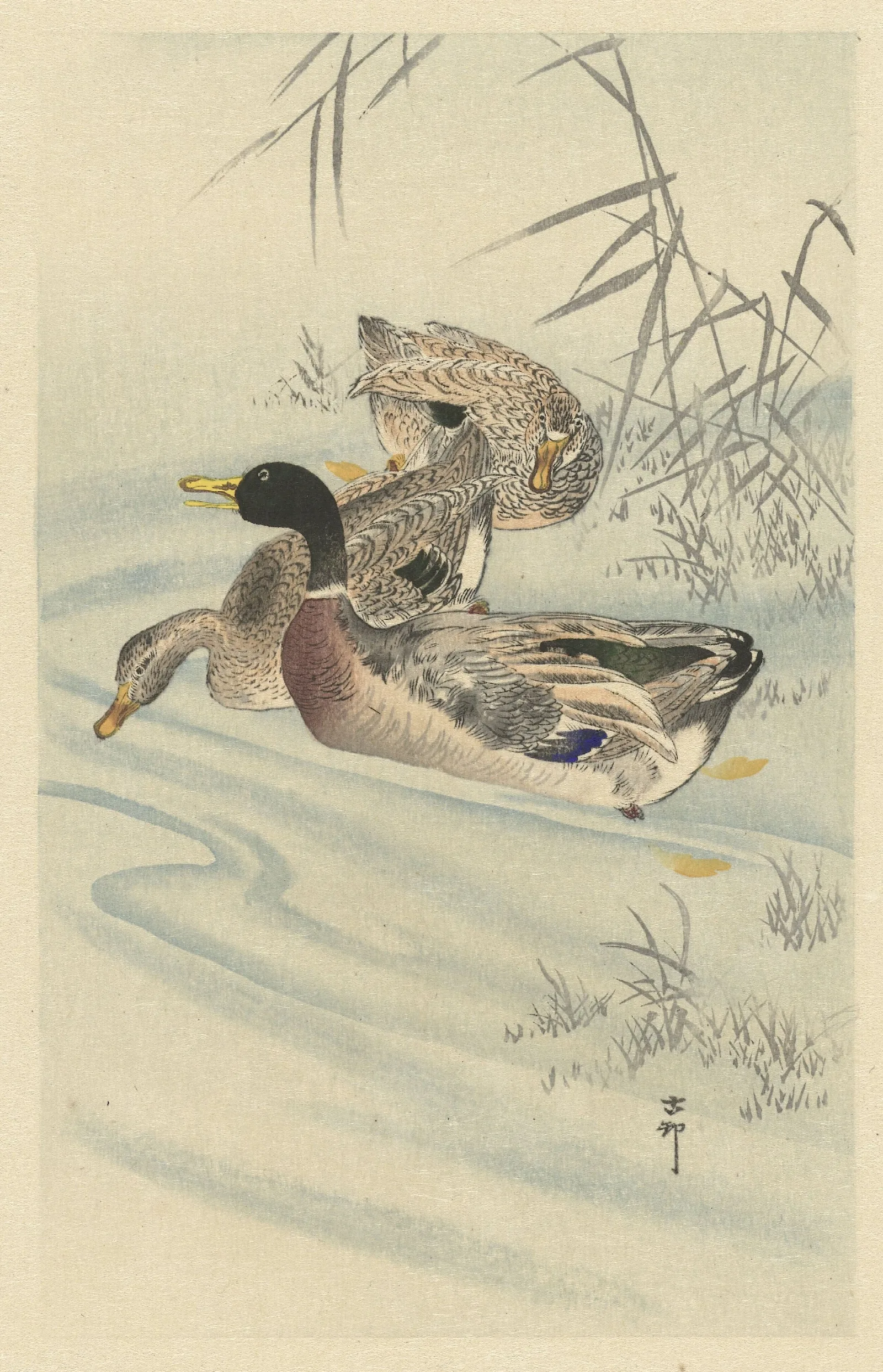 Three Ducks In Shallow Water With Reed Wall Art by Ohara Koson - Canvas Print