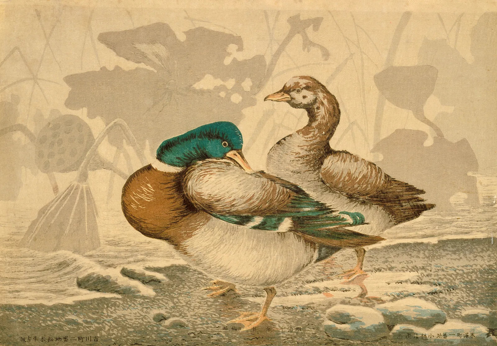 Ducks And Withered Lotus Wall Art by Kobayashi Kiyochika - Canvas Print