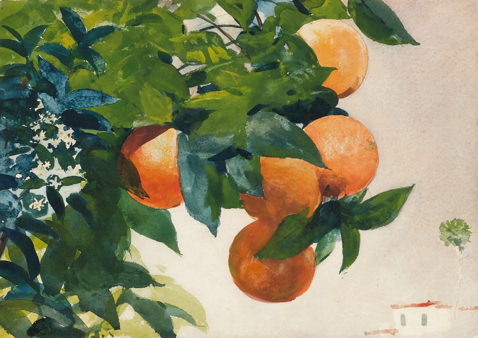 Oranges On A Branch Wall Art by Winslow Homer - Canvas Print