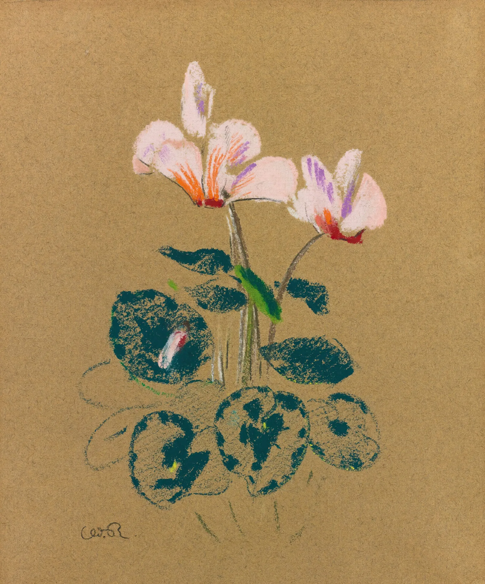 Cyclamen 6 Wall Art by Odilon Redon - Canvas Print