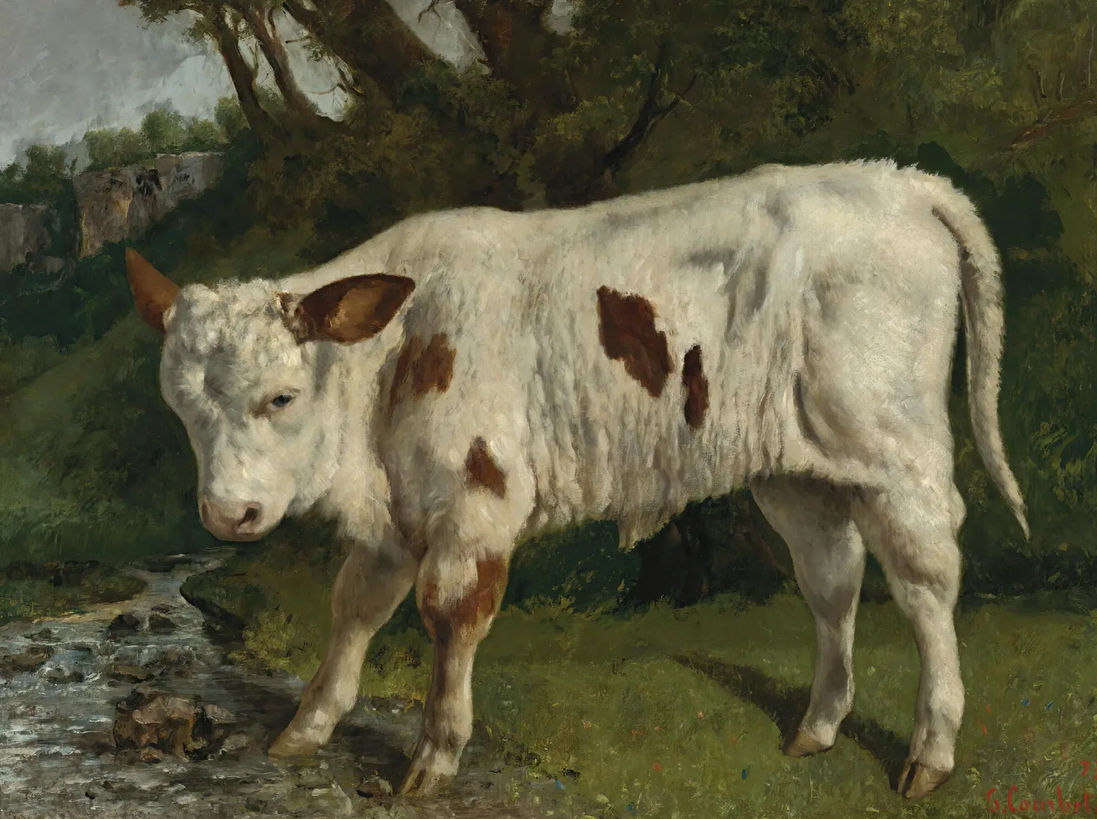 Le Veau Blanc Wall Art by Gustave Courbet - Canvas Print