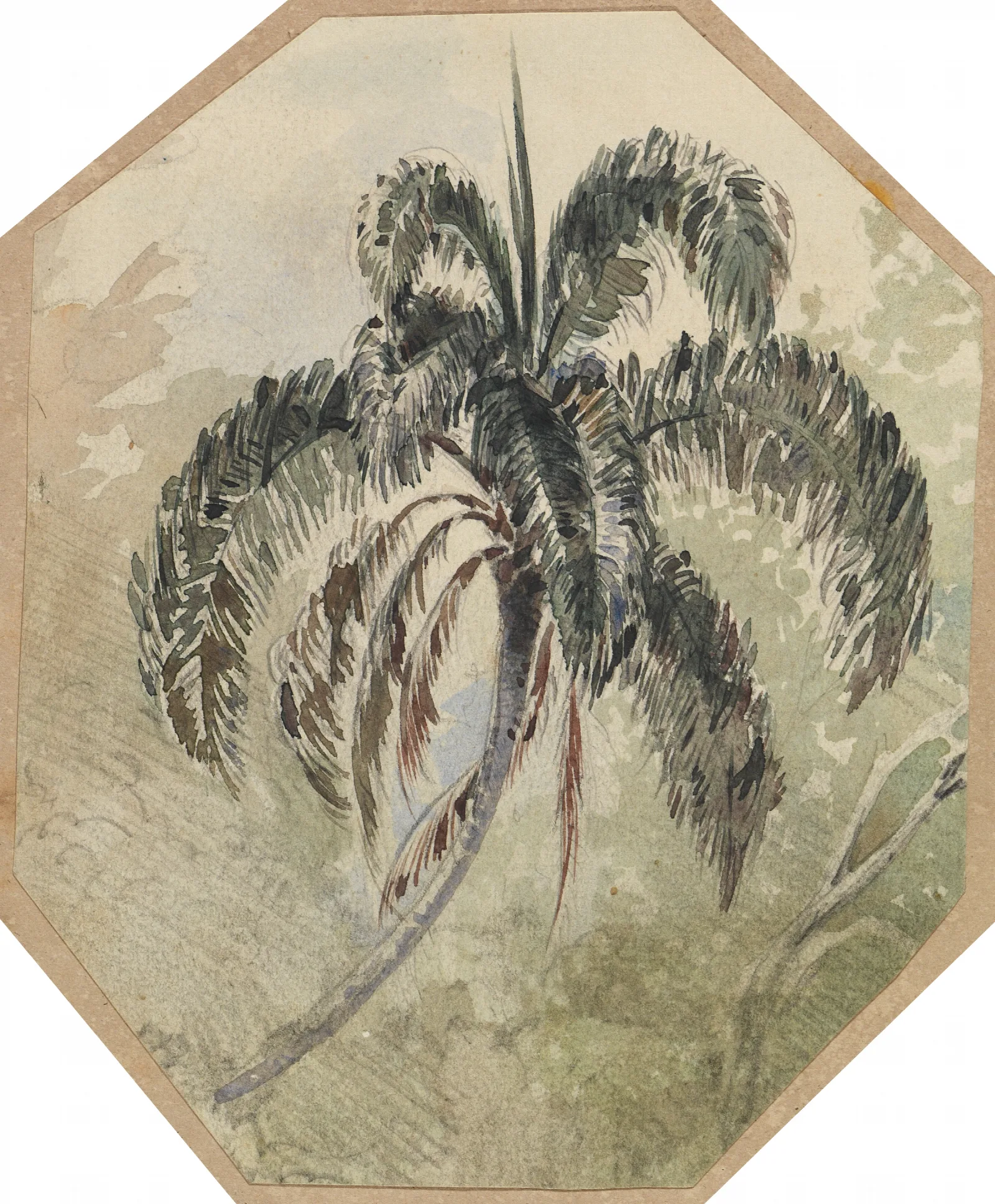 Studie Einer Palme In Urwald Wall Art by Ferdinand Keller - Canvas Print