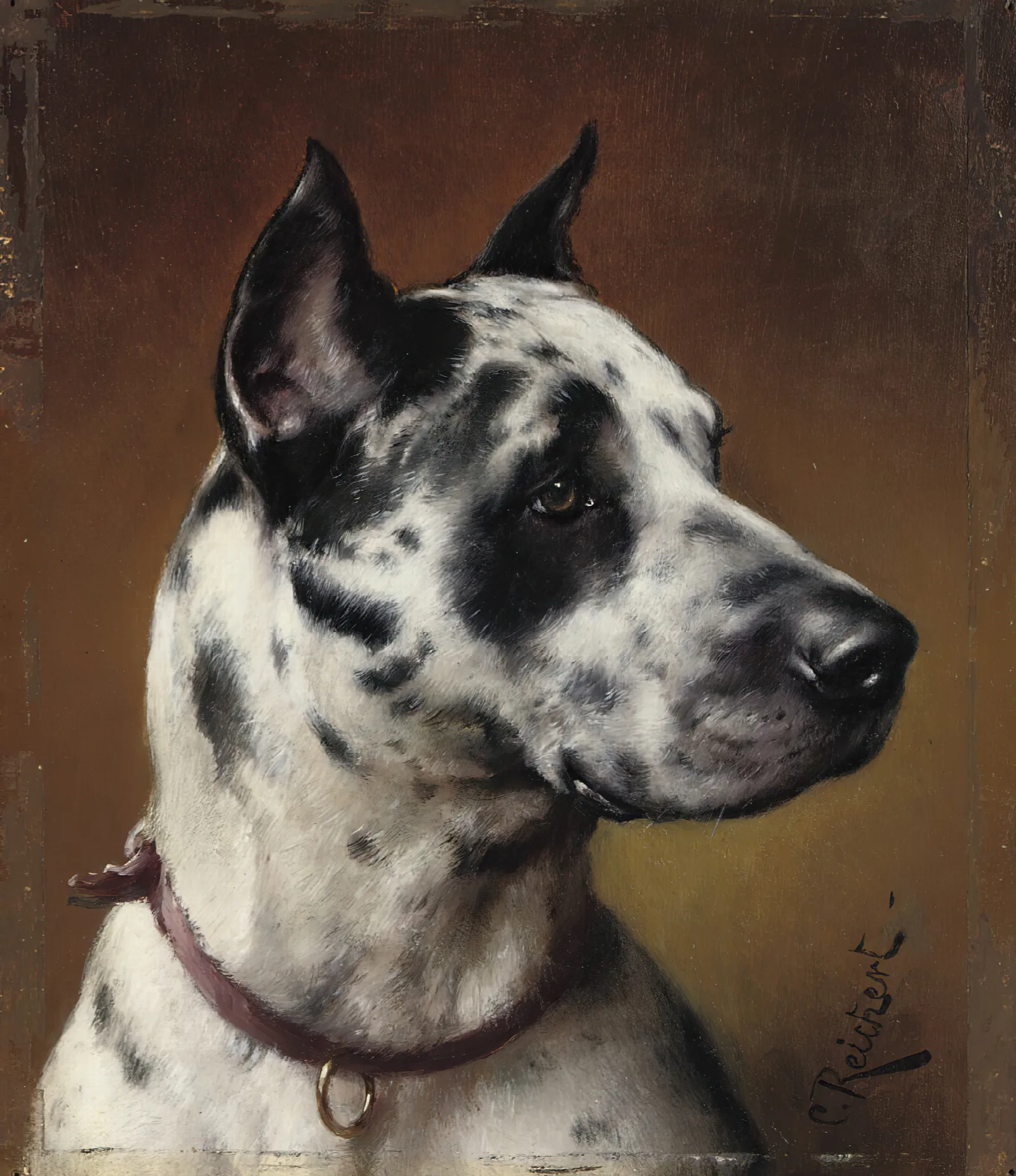 A Great Dane Wall Art by Carl Reichert - Canvas Print