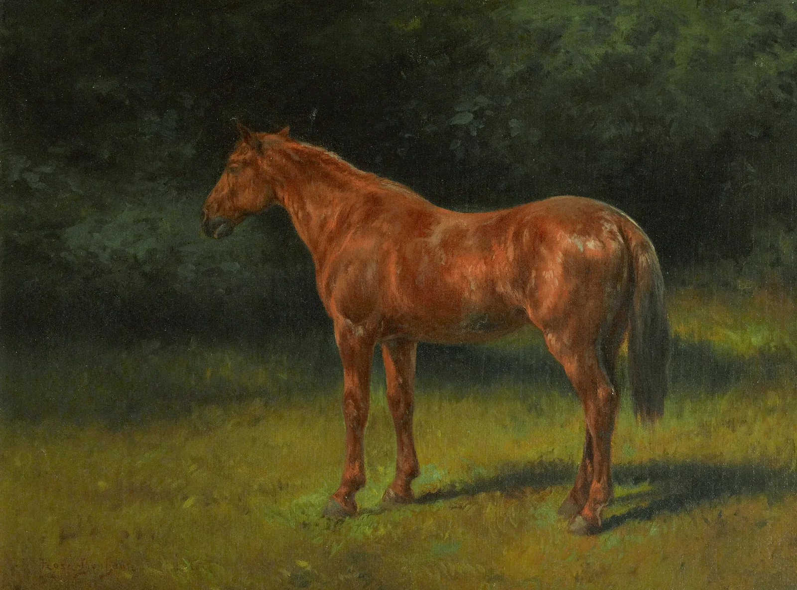 Loseille Rouge Wall Art by Rosa Bonheur - Canvas Print