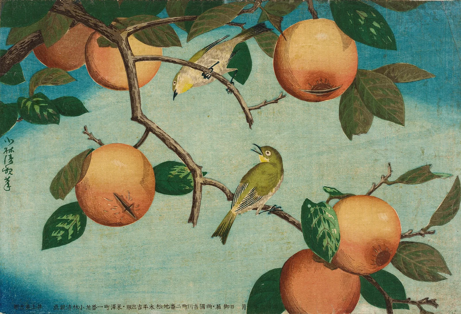 Persimmons And White Eyes Wall Art by Kobayashi Kiyochika - Canvas Print
