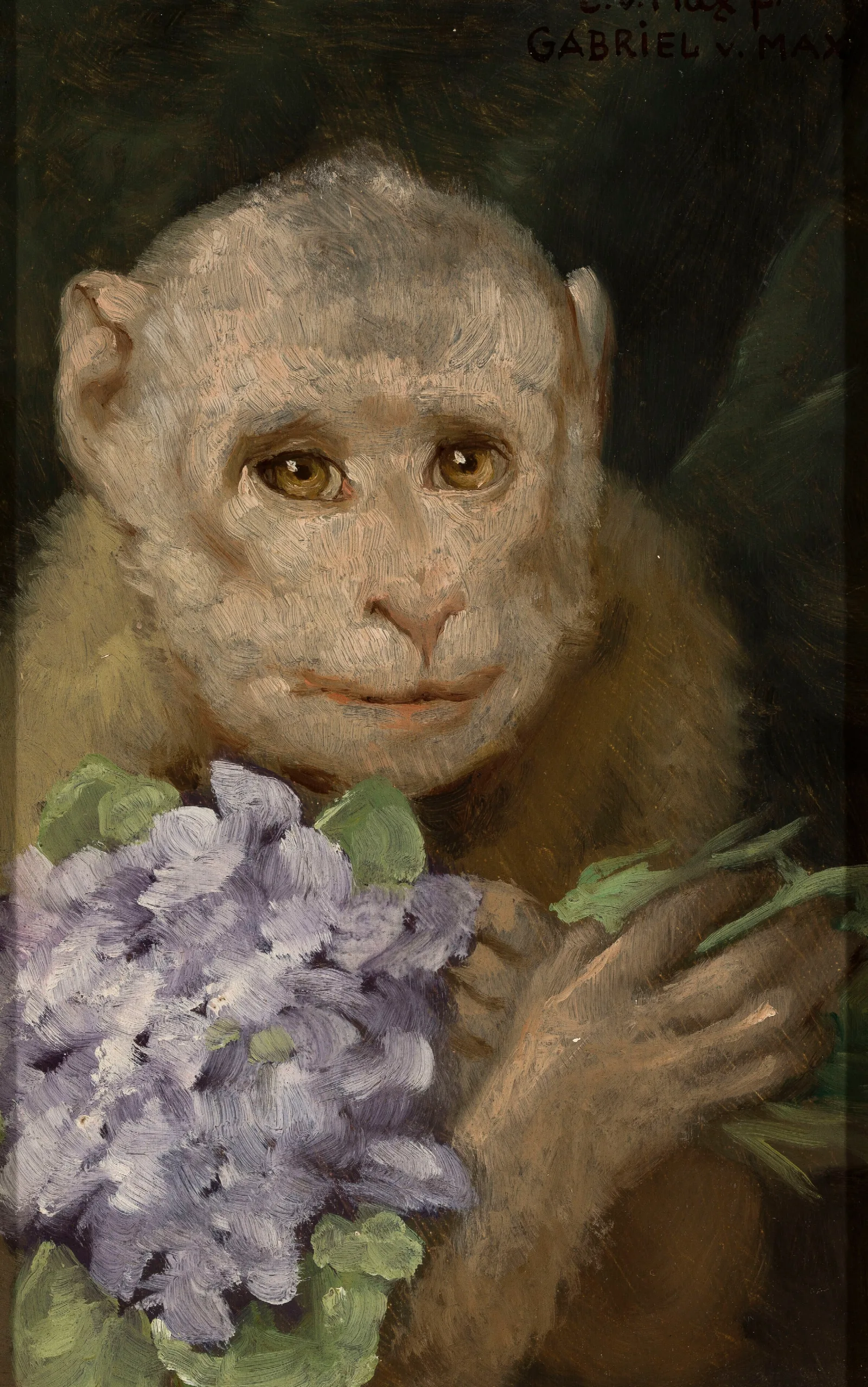 Monkey With A Bouquet Of Violets 2 Wall Art by Gabriel von Max - Canvas Print