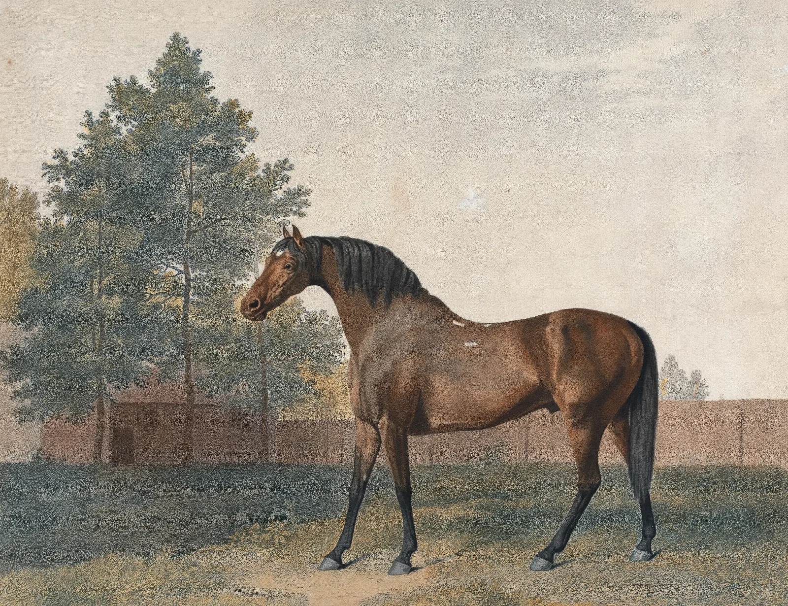 Anvil Wall Art by George Stubbs - Canvas Print