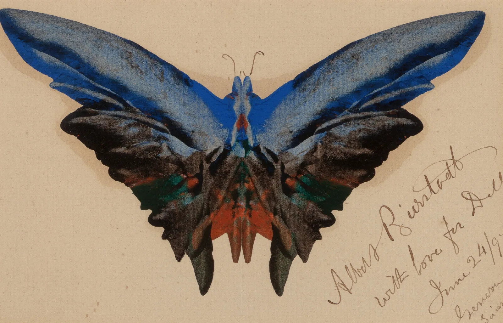 Butterfly For Dell Wall Art by Albert Bierstadt - Canvas Print