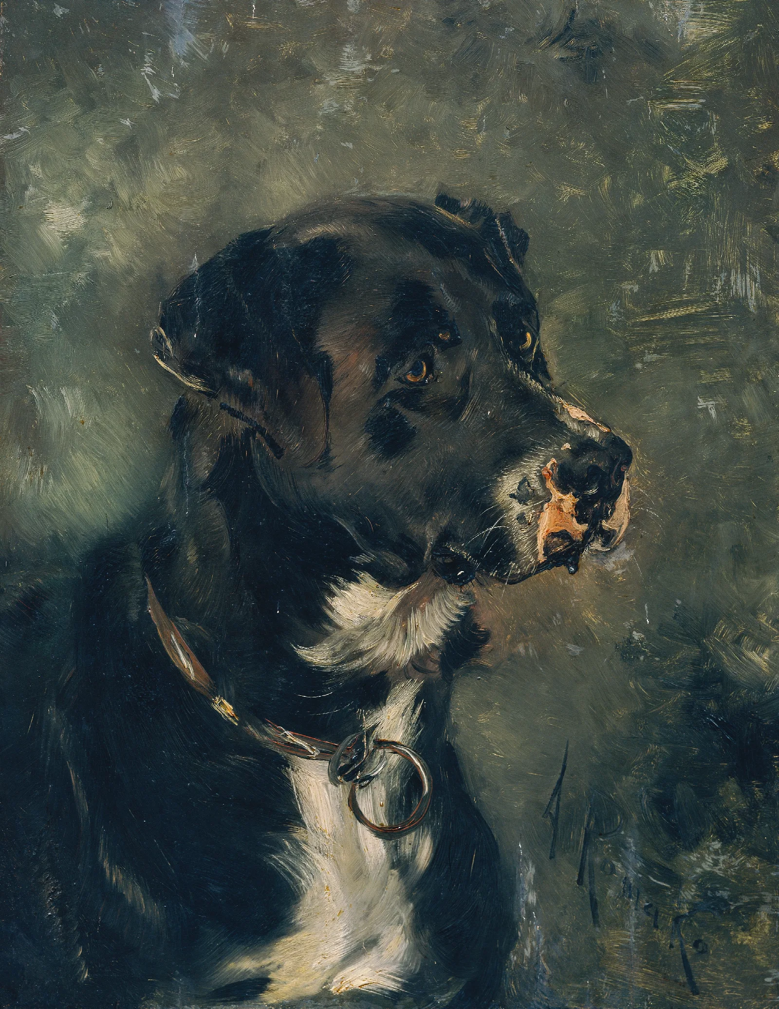 Kopf Eines Fleischerhundes Hundekopf Wall Art by Anton Romako - Canvas Print