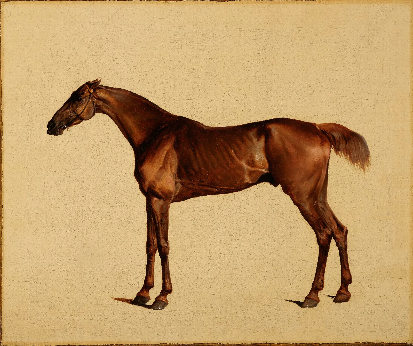 Pangloss Wall Art by George Stubbs - Canvas Print
