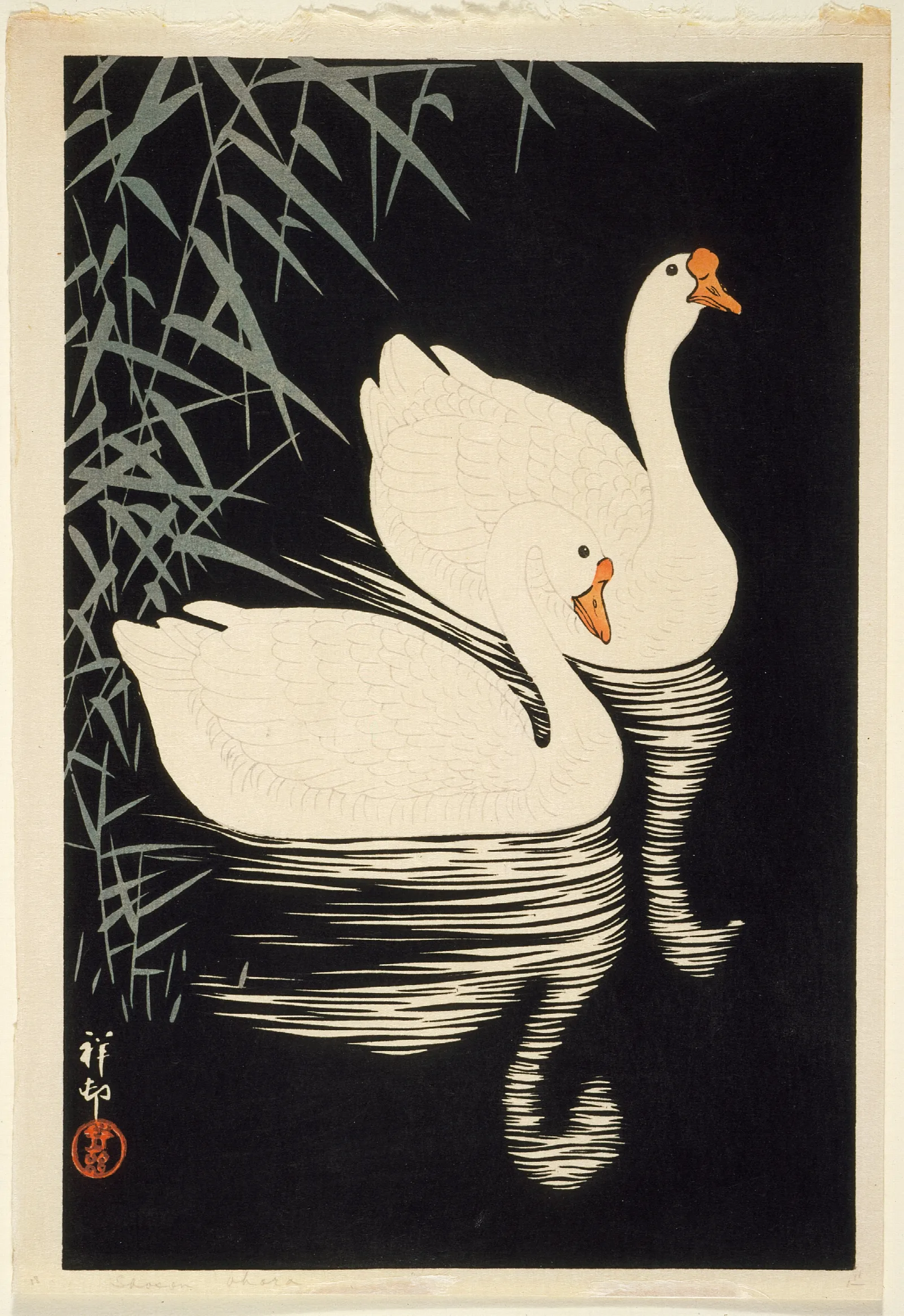 White Chinese Geese Swimming By Reeds Wall Art by Ohara Koson - Canvas Print