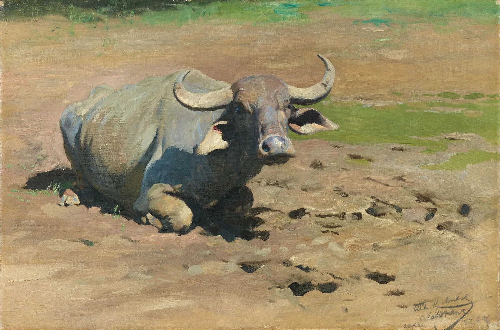 Ruhender Buffel Wall Art by Wilhelm Kuhnert - Canvas Print