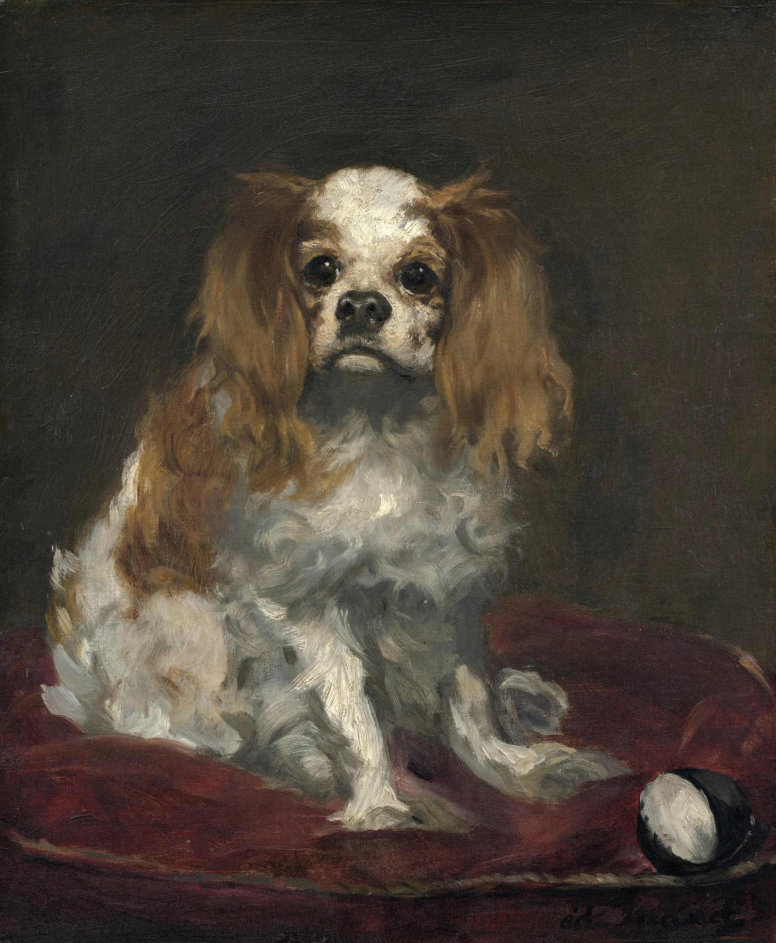 A King Charles Spaniel Wall Art by Édouard Manet - Canvas Print