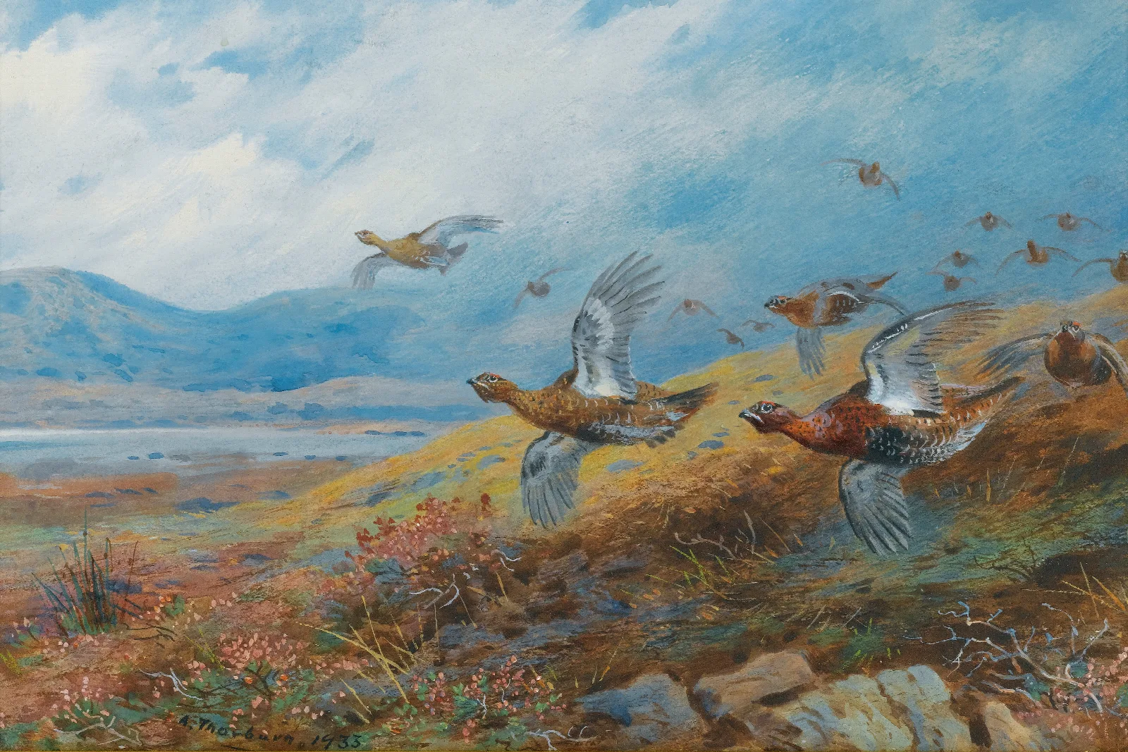 Driven Grouse Wall Art by Archibald Thorburn - Canvas Print