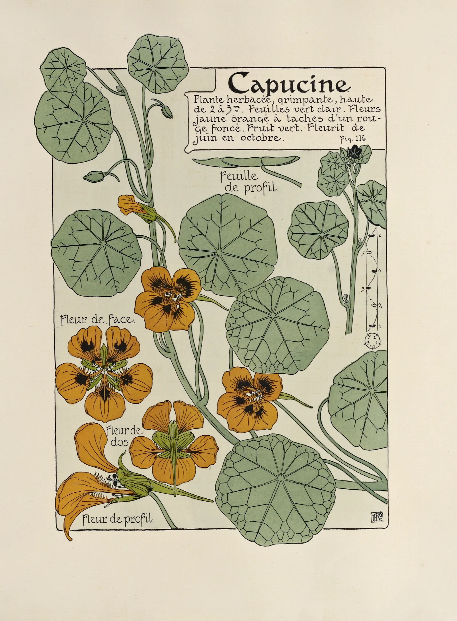 Capucine 4 Wall Art by Maurice Pillard Verneuil - Canvas Print