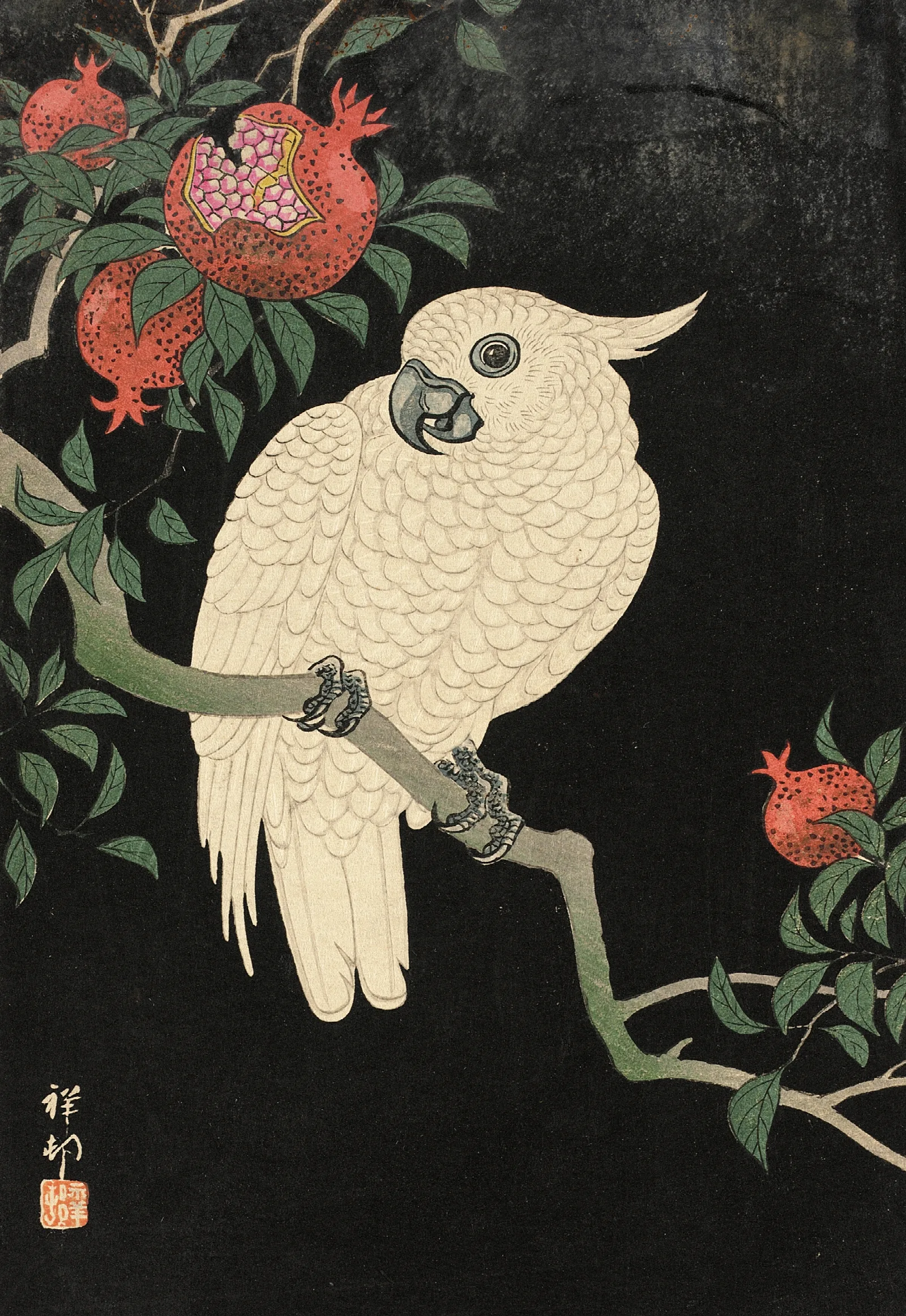 Cockatoo And Pomegranate 2 Wall Art by Ohara Koson - Canvas Print