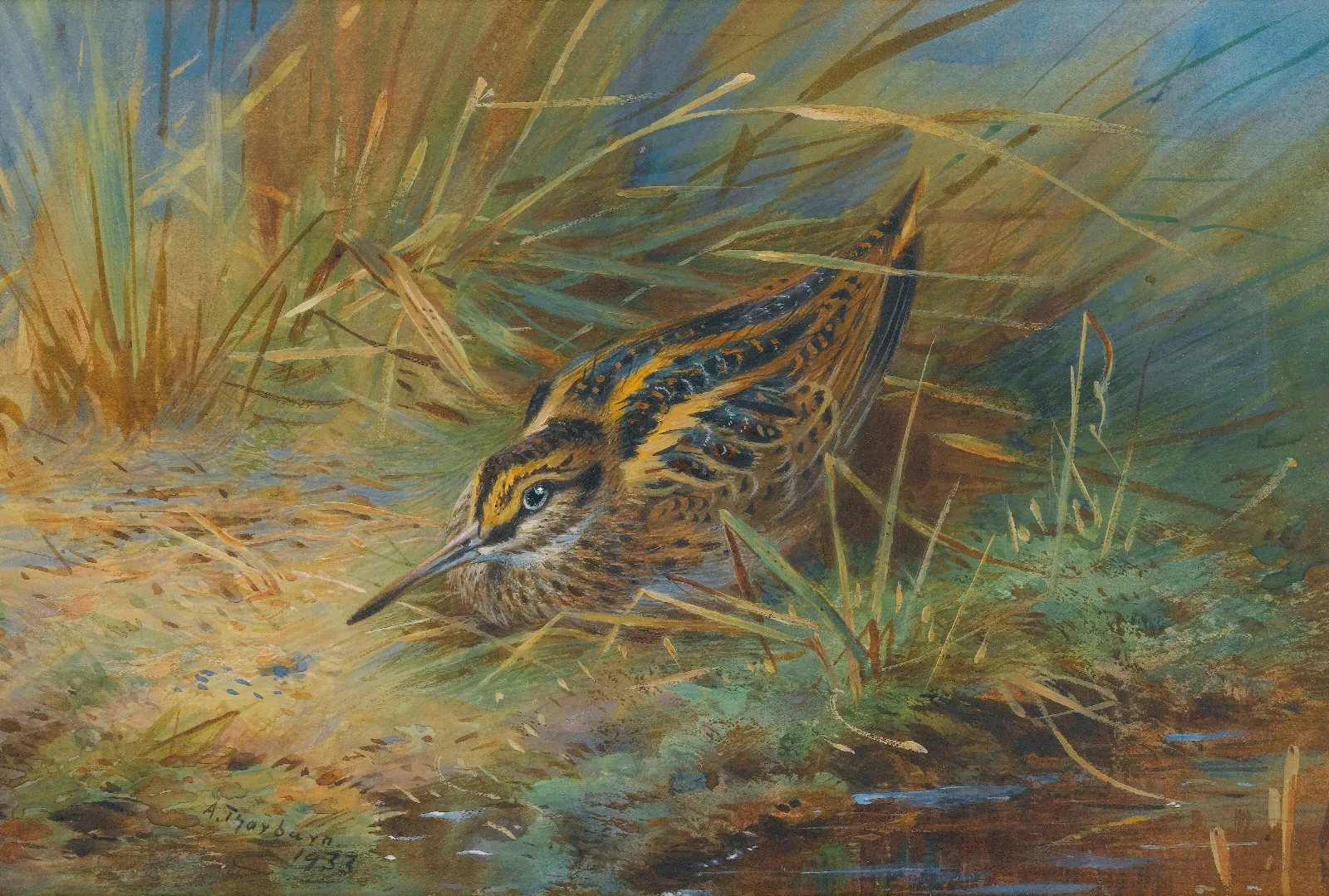 Jack Snipe Wall Art by Archibald Thorburn - Canvas Print