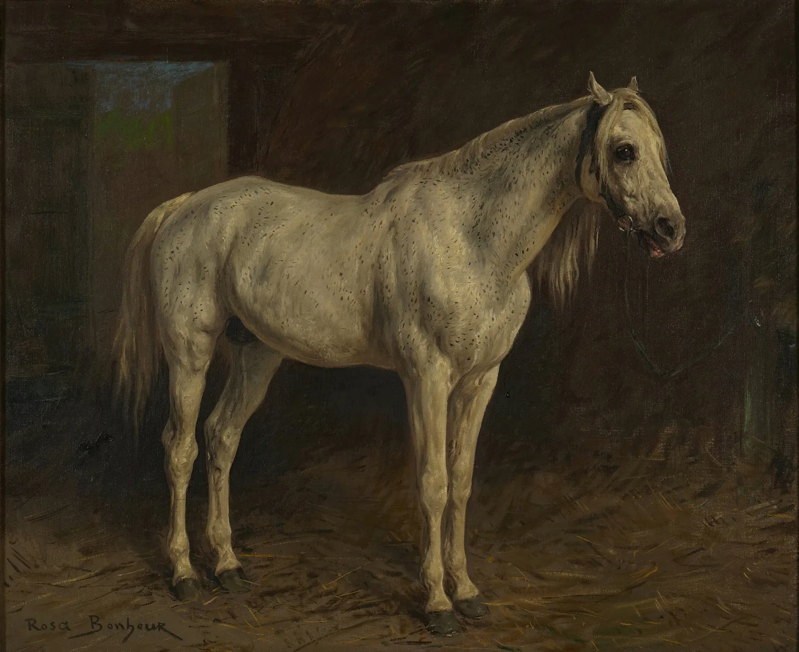 White Horse Wall Art by Rosa Bonheur - Canvas Print