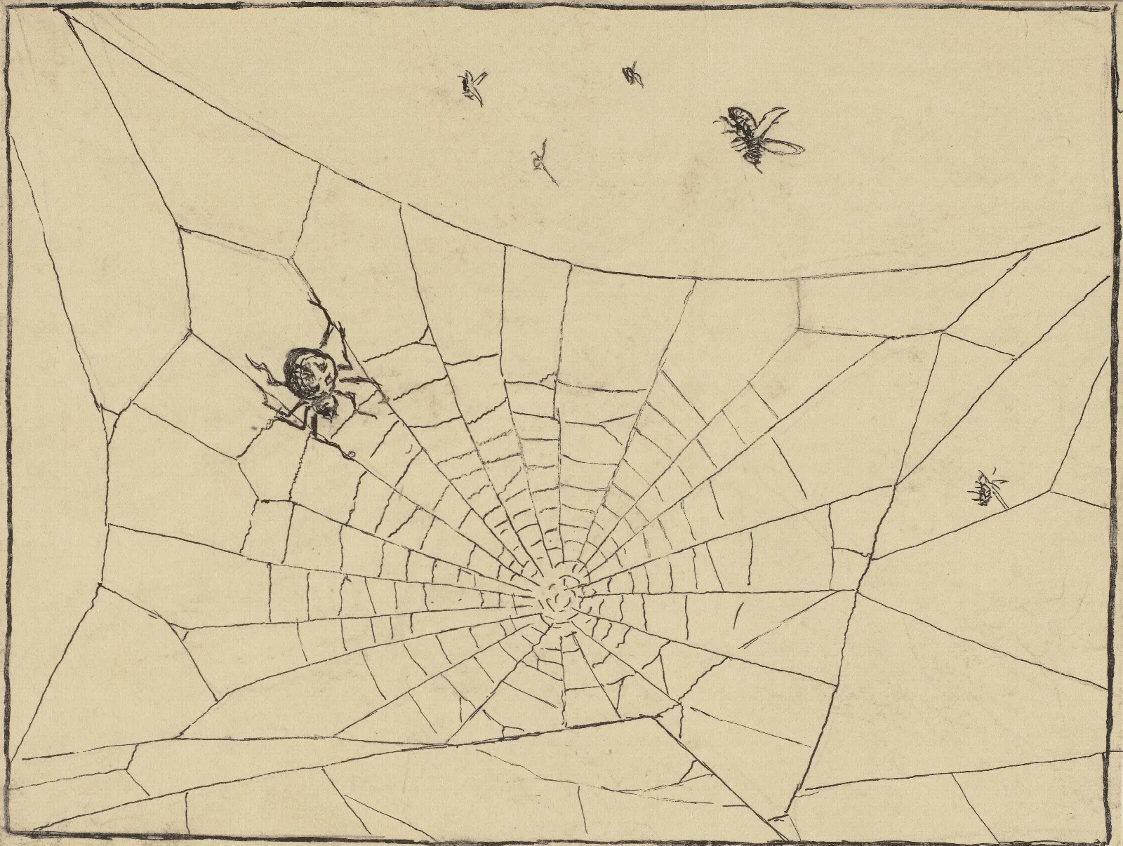 Spinne Wall Art by Hans Thoma - Canvas Print