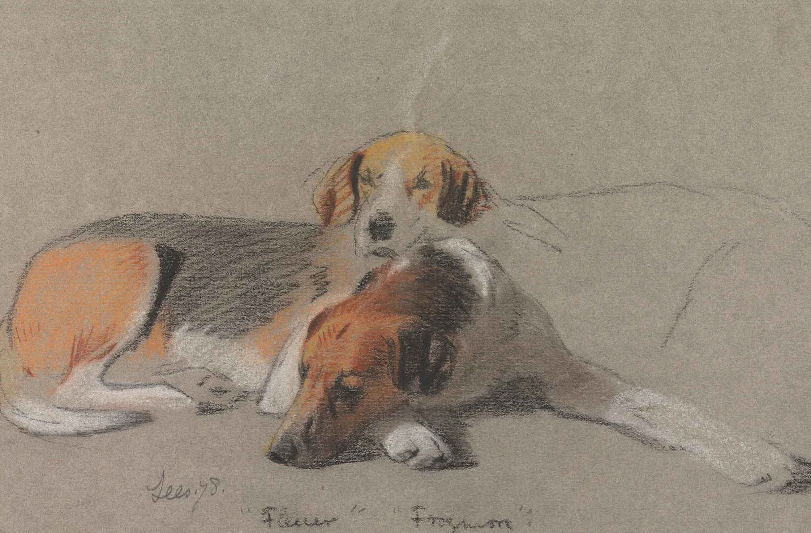 Hounds Fleur And Frogmore Wall Art by Archibald Thorburn - Canvas Print