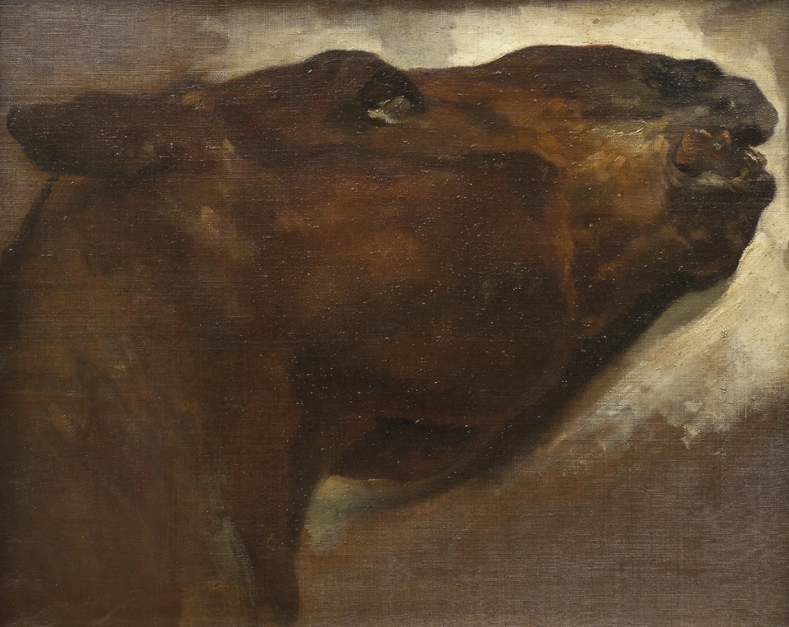Study Of A Dead Horse Wall Art by Théodore Géricault - Canvas Print