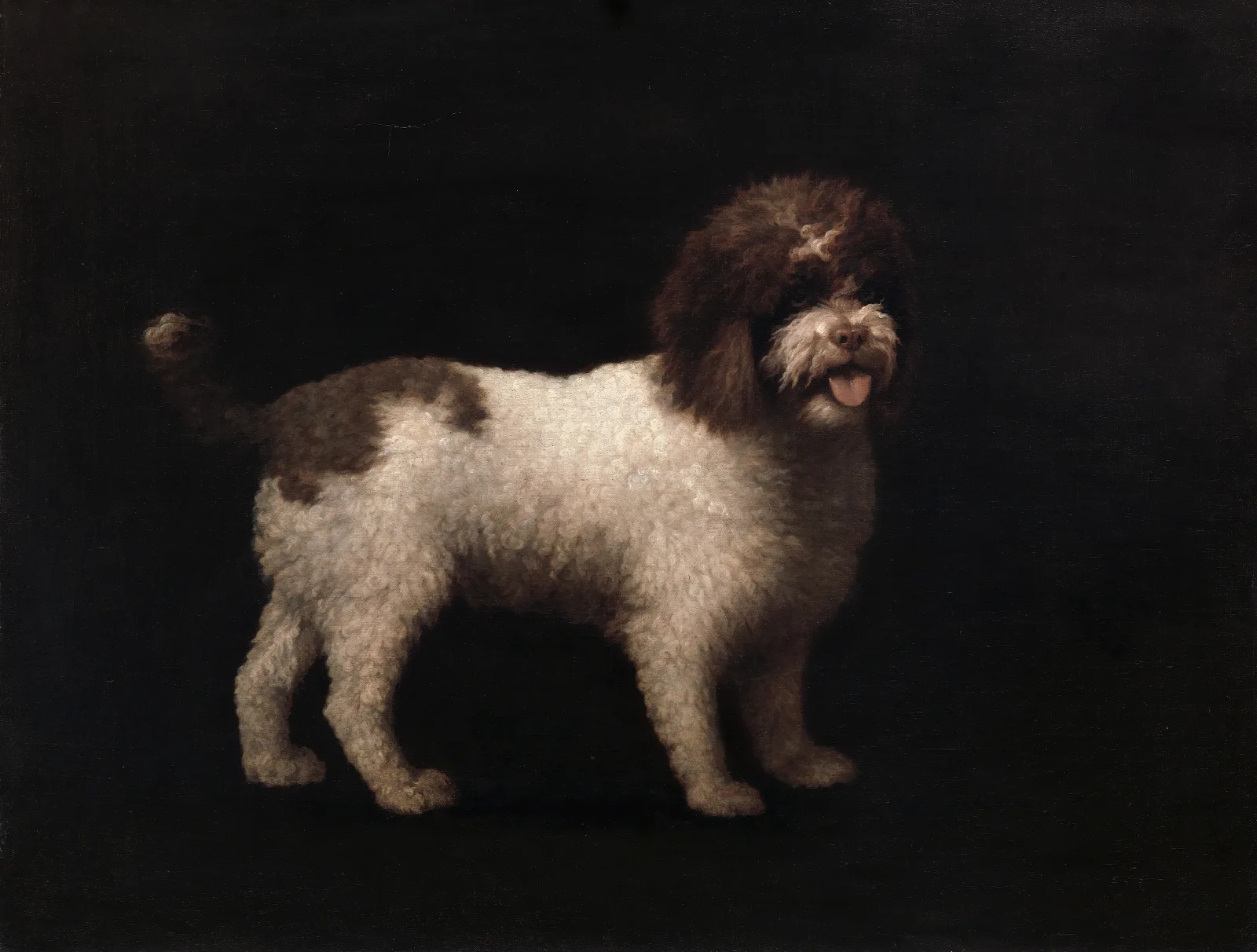 Water Spaniel Wall Art by George Stubbs - Canvas Print