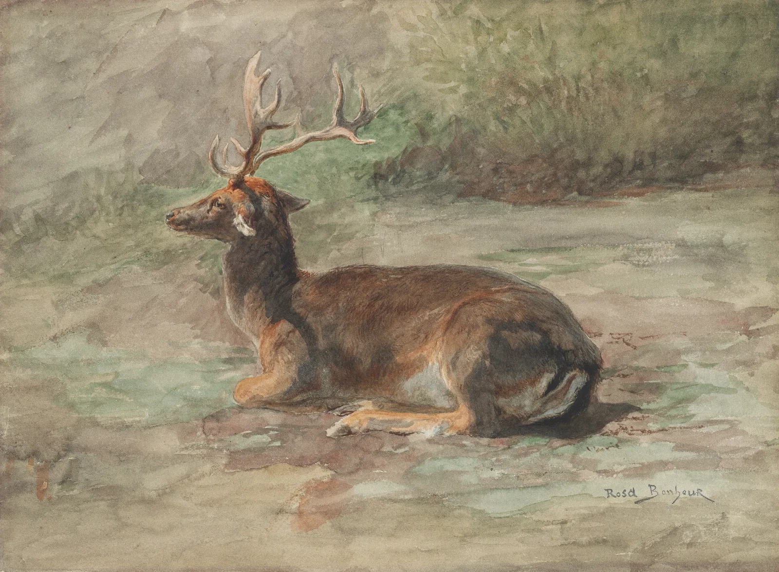 Stag Lying Down Wall Art by Rosa Bonheur - Canvas Print