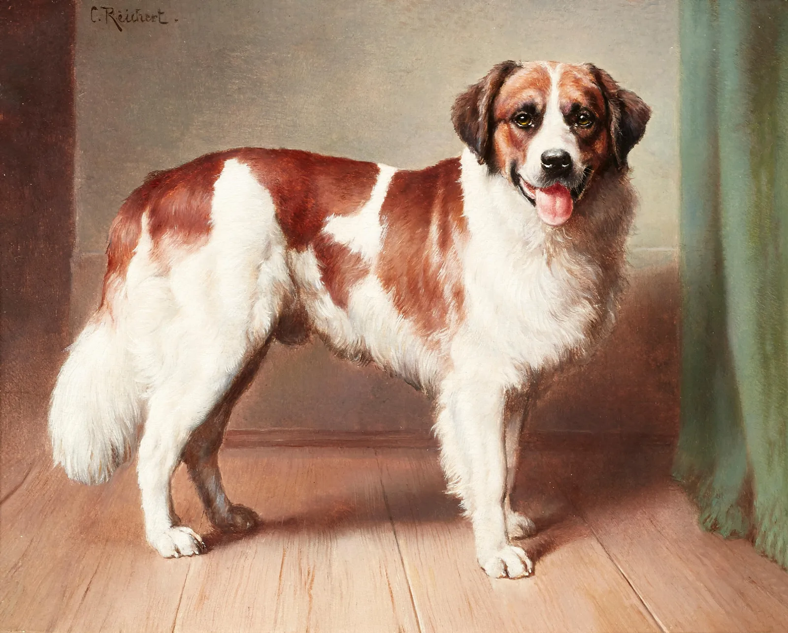Portrait Of A St Bernard Wall Art by Carl Reichert - Canvas Print