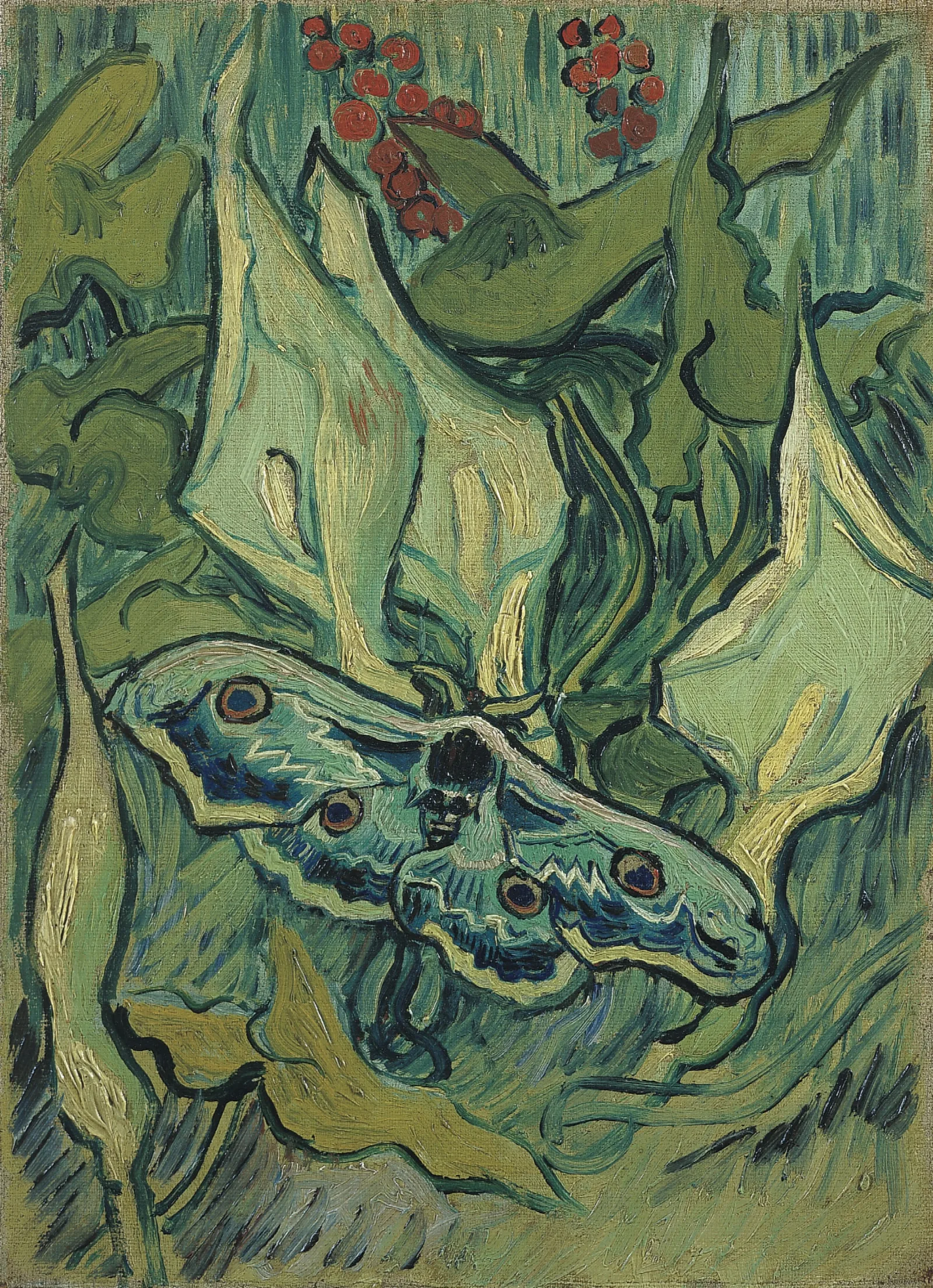 Emperor Moth Wall Art by Vincent van Gogh - Canvas Print
