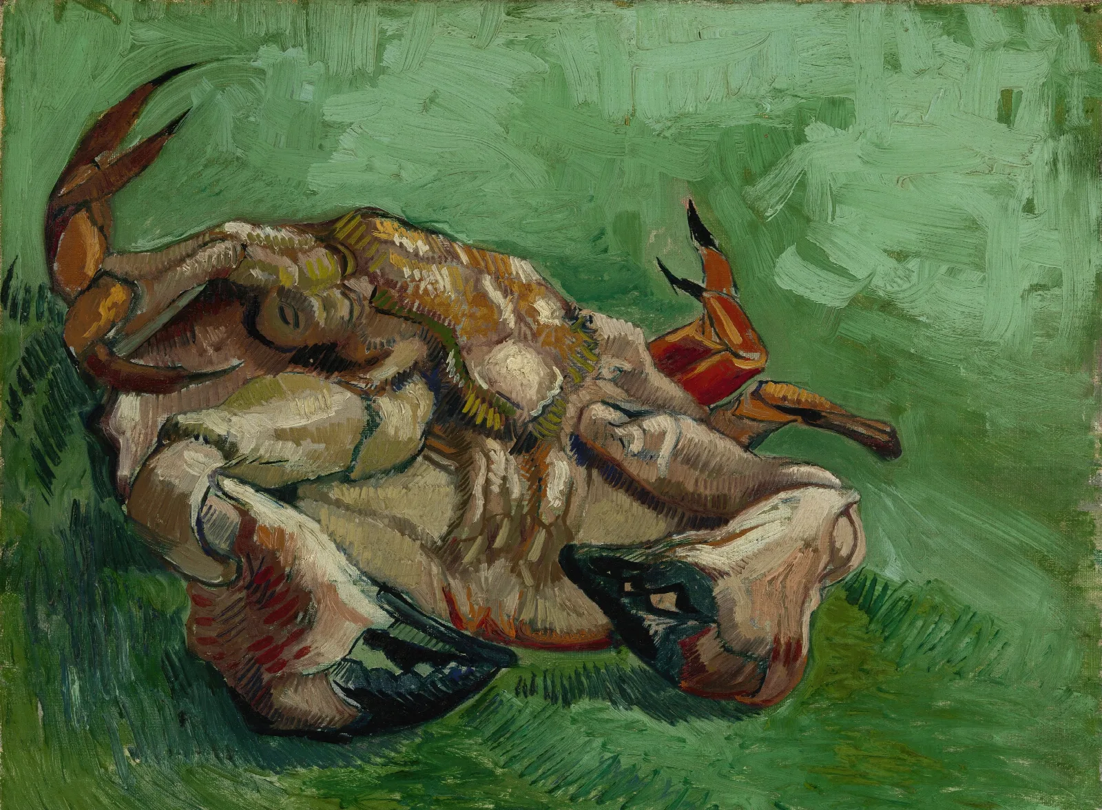 A Crab On Its Back Wall Art by Vincent van Gogh - Canvas Print