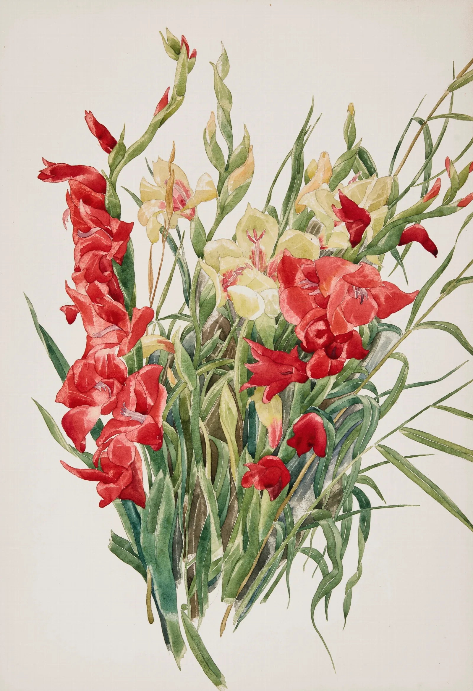 Red And Yellow Gladioli Wall Art by Charles Demuth - Canvas Print
